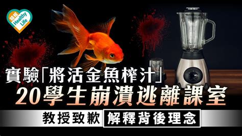 榨金魚|【人性實驗】「榨生金魚汁」實驗20學生崩潰離場 教。